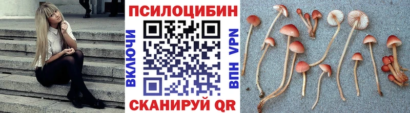 Псилоцибиновые грибы мицелий  Анива 